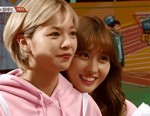 아육대 모모 움짤 3p | 인스티즈