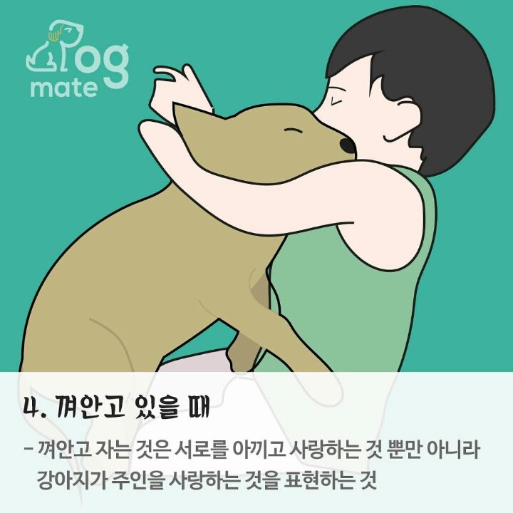 반려동물과 잠자는 위치로 본 반려동물과 나의 관계 | 인스티즈