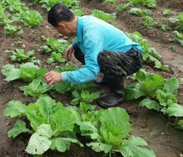 주당집 이미지