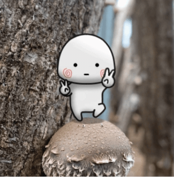 오키토키 이미지