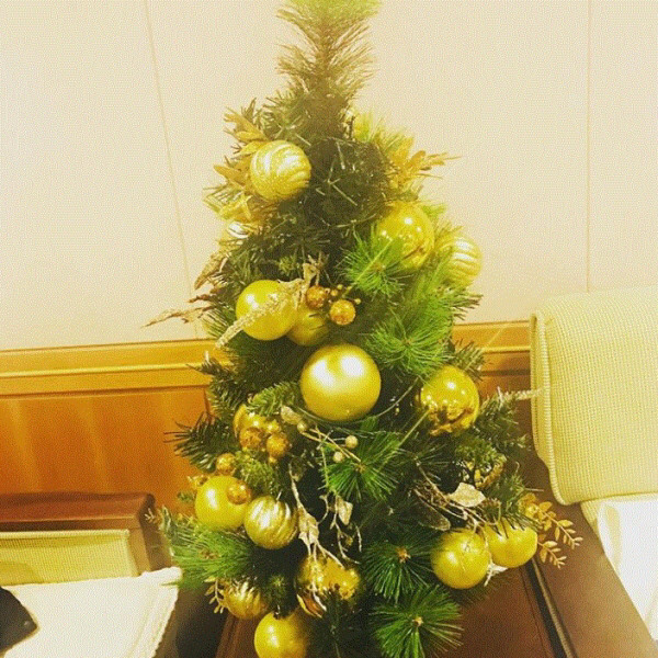 태연 콘서트 뒷풀이 사진 + 에피소드 .jpg | 인스티즈