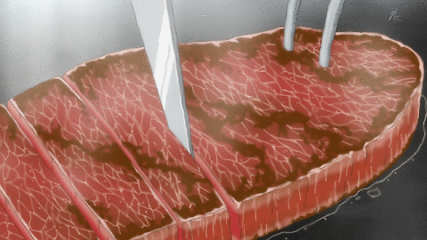 배고플(hungry)때 보면 더 배고파지는 애니음식(anime food)짤모음.gif | 인스티즈