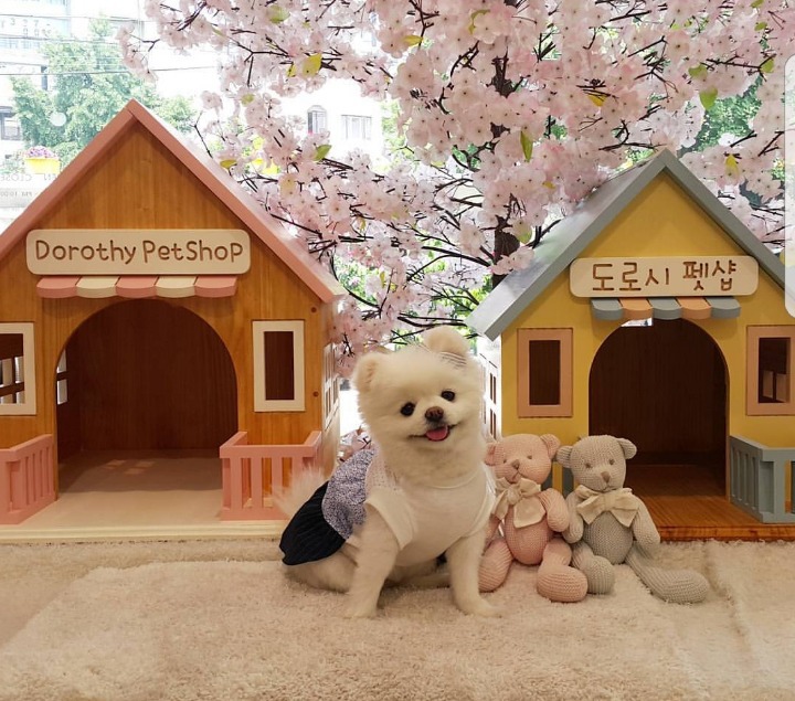 학창시절 최고의 인기 샤프 | 인스티즈