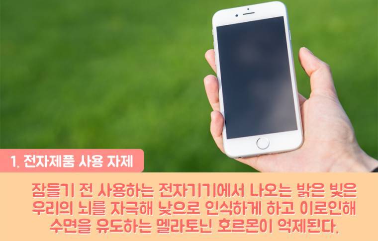 꿀잠 자는 생활습관 | 인스티즈