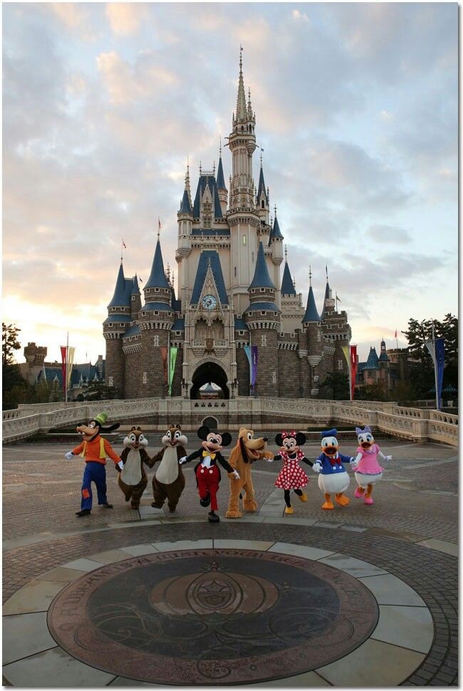 줌1이 좋아하는 디즈니랜드 관련 이미지모음♡ | 인스티즈