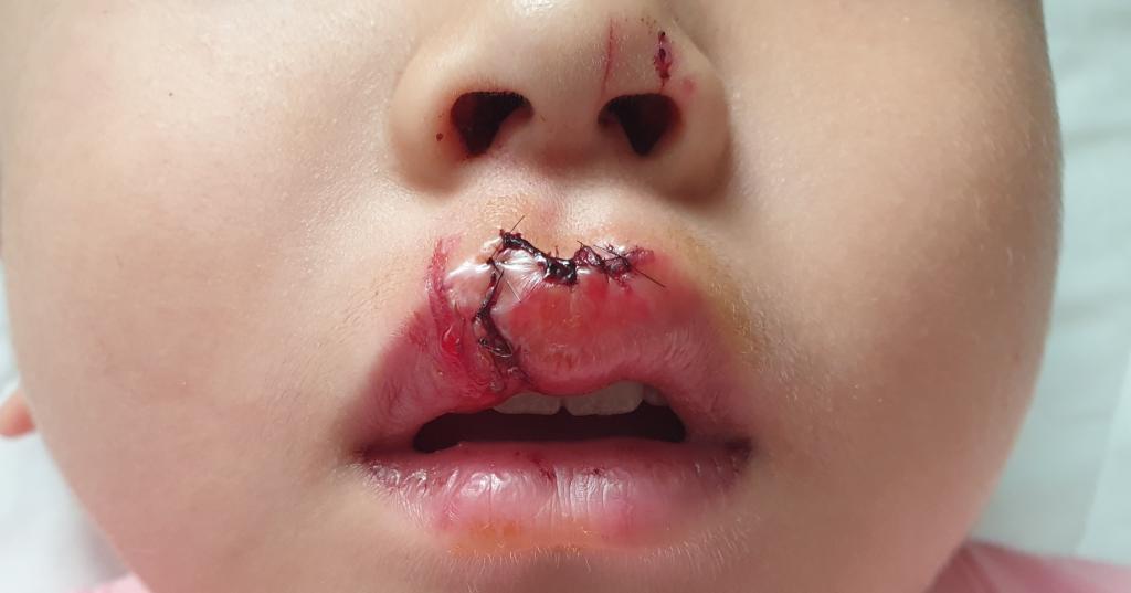 보배어린이집 이미지