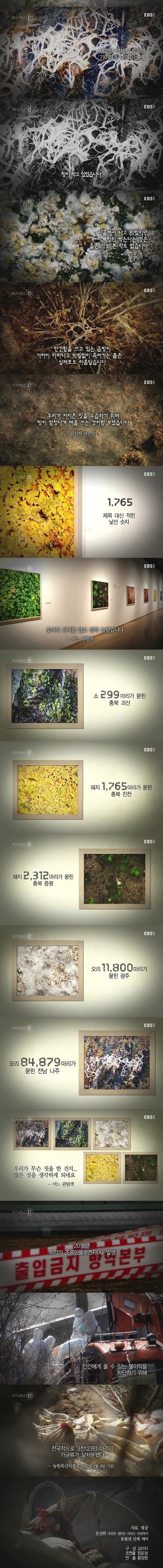 우리나라 땅이 썩고있습니다.jpg | 인스티즈