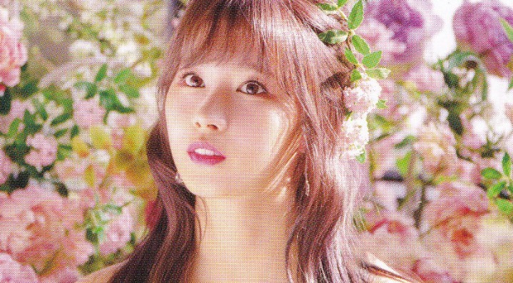 트와이스 9명 웨딩 드레스 (데이터 주의) | 인스티즈