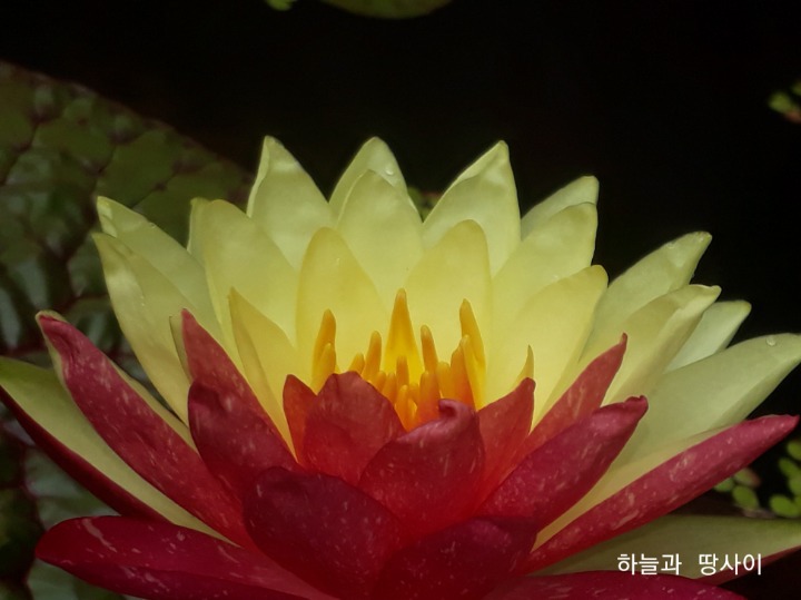 해와달 이미지