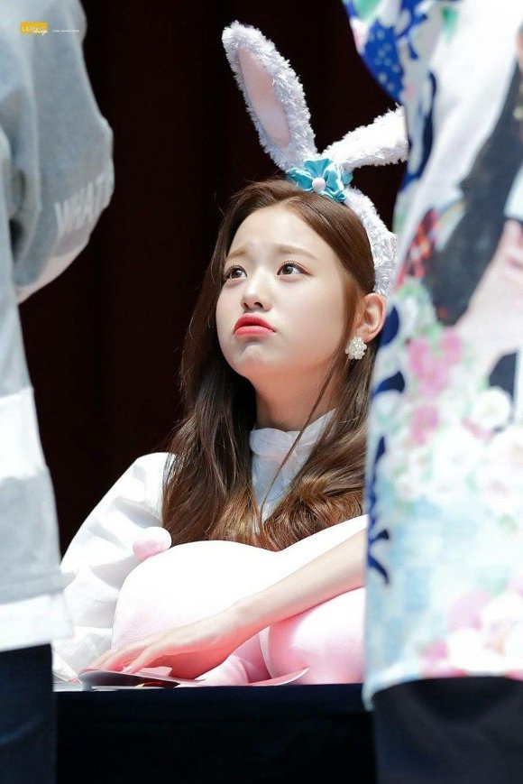 아이즈원) 이제는 토끼모자 쓸줄 아는 은비.gif | 인스티즈