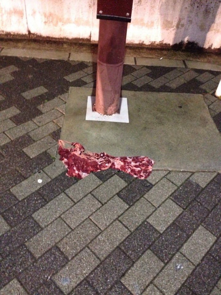 누가 길에 소고기를 떨어뜨렸지?.JPG | 인스티즈