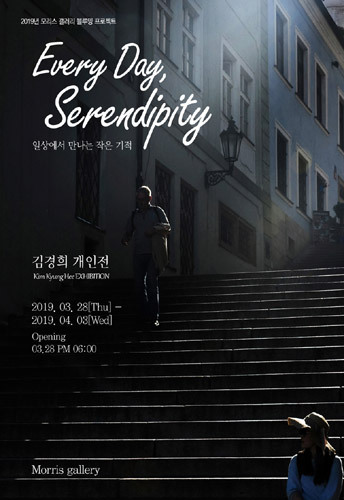 세렌디피티 이미지