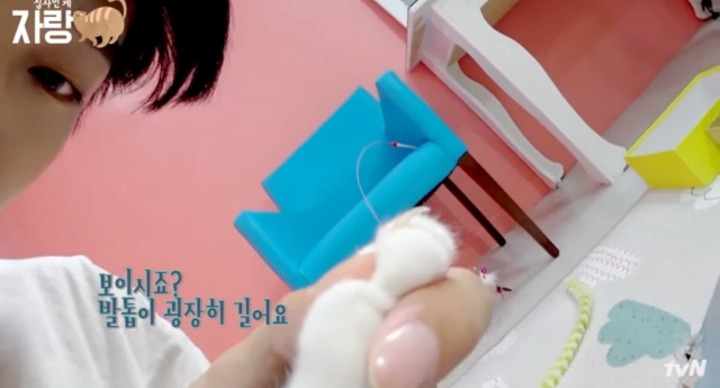 [집사인게자랑] 평화로운 고양이 발톱 자르기.jpg | 인스티즈