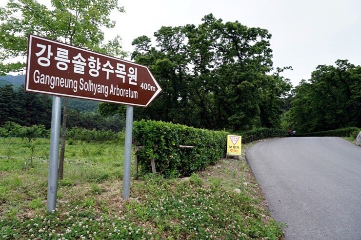 소양강수목원 이미지