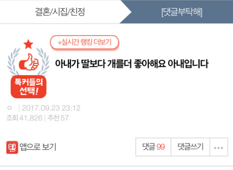 아내가 딸보다 개를 더 좋아해요(+아내입장) | 인스티즈