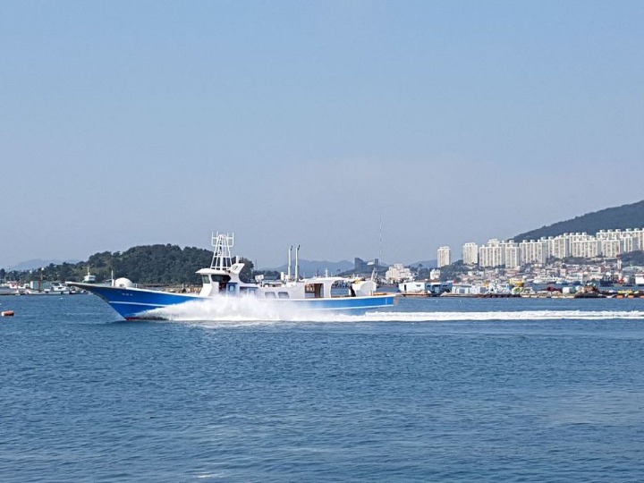 도호 이미지