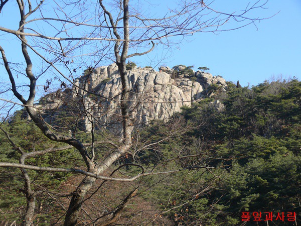 온유커피 이미지