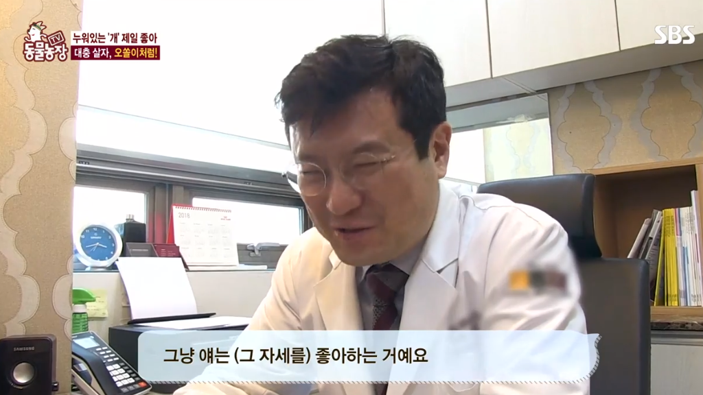[동물농장] 누워있길 좋아하는 강아지 오쏠이 | 인스티즈