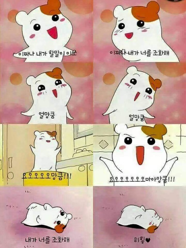 아뮤 이미지