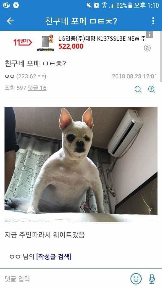 디씨인들의 개 인증 모음ㅋㅋㅋㅋ | 인스티즈