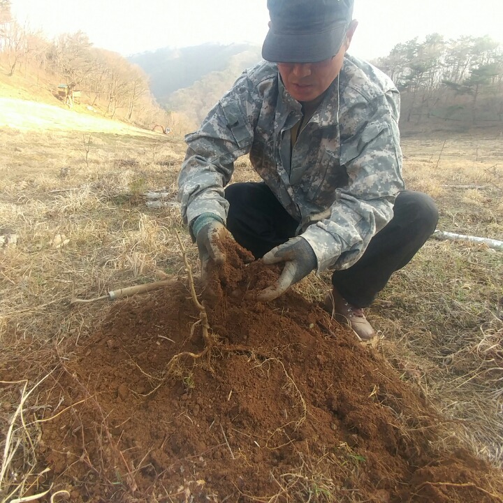 하동산초농장 이미지