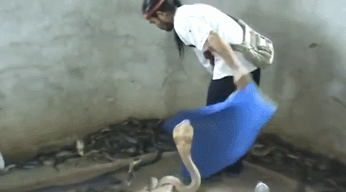 한대 때릴때마다 1억줌 도전한다 vs 그냥살기 .gif | 인스티즈