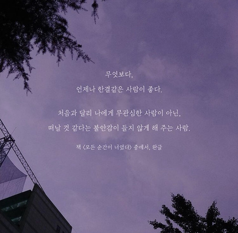 라윤 이미지