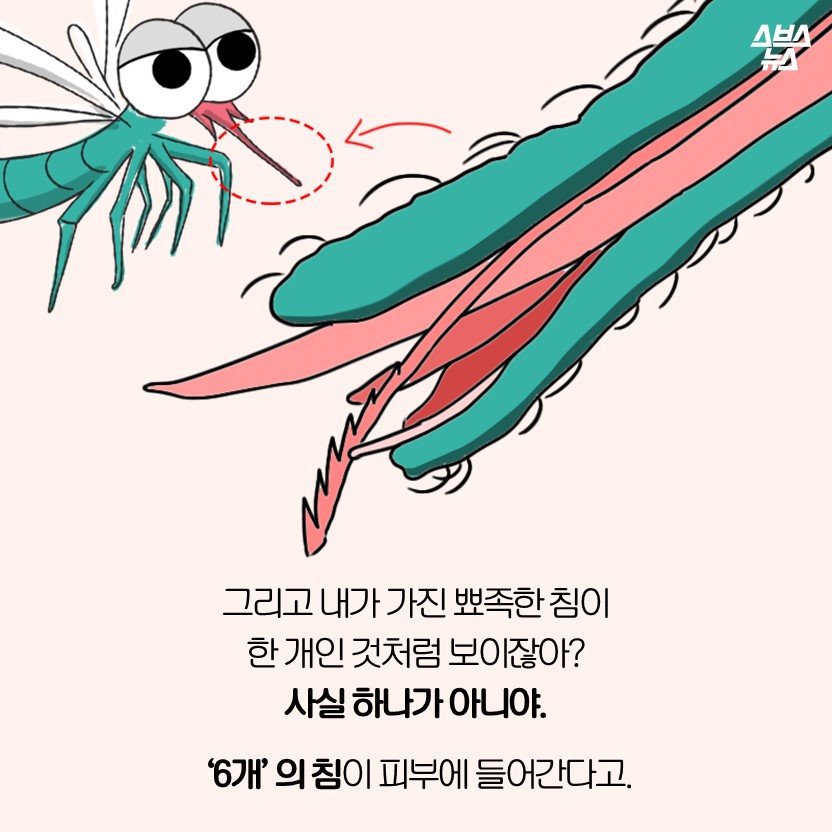 모기 만화.jpg | 인스티즈