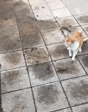 아이고 나죽네! .gif | 인스티즈