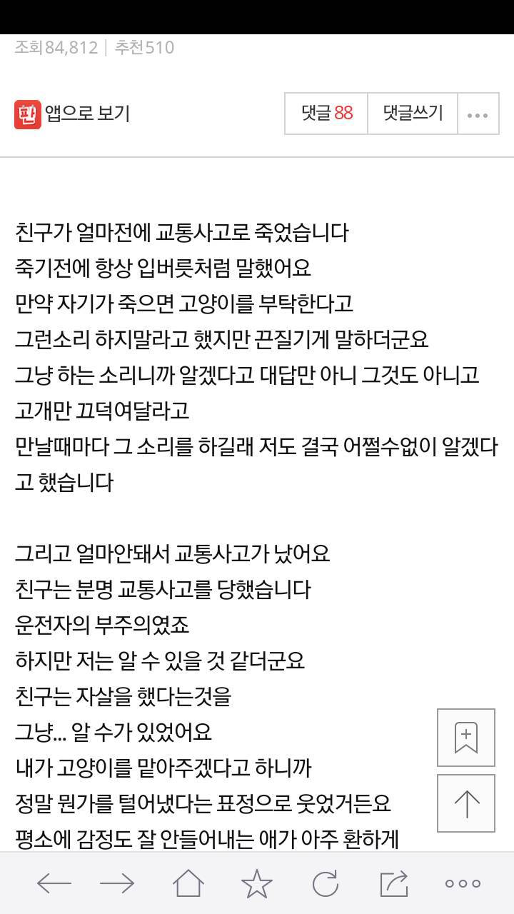 죽은친구가 맡기고 간 고양이 | 인스티즈