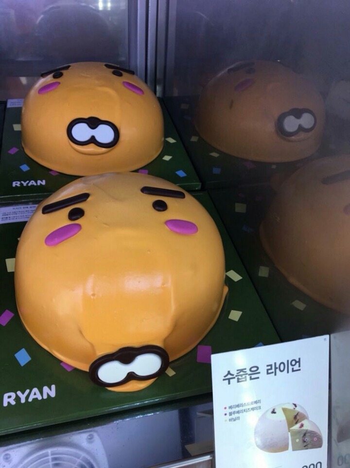 수줍은 라이언.jpg | 인스티즈