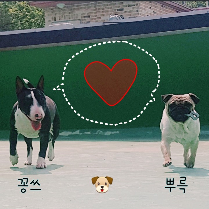 꽁쓰 이미지
