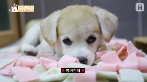 아 이미지