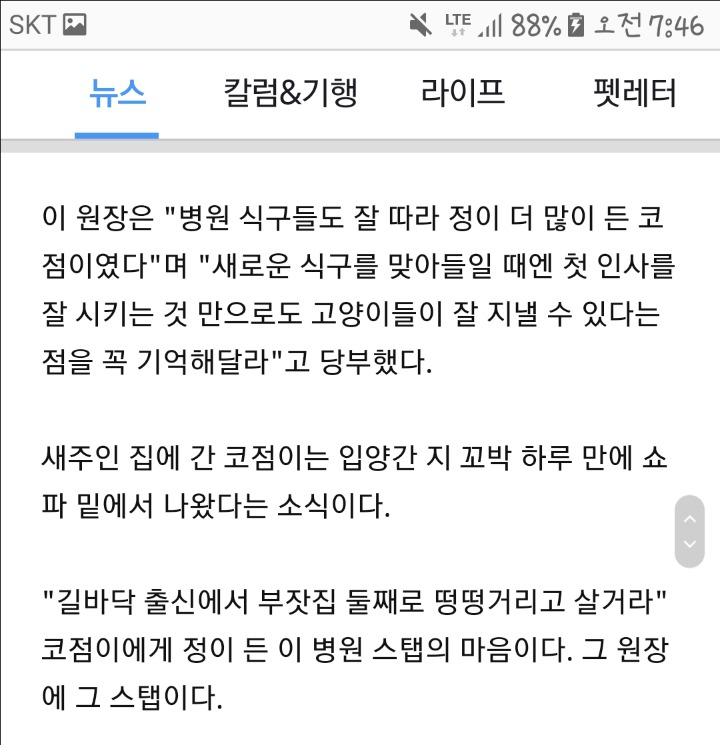 길고양이 입양한 보호자에 손편지 쓴 수의사 | 인스티즈