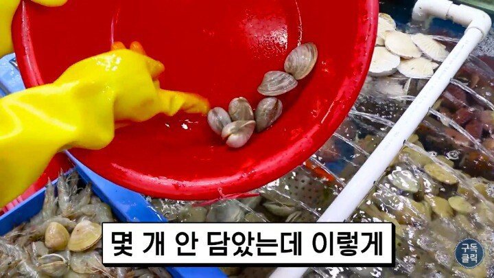 수산시장에서 바가지 안당하는법.JPG | 인스티즈