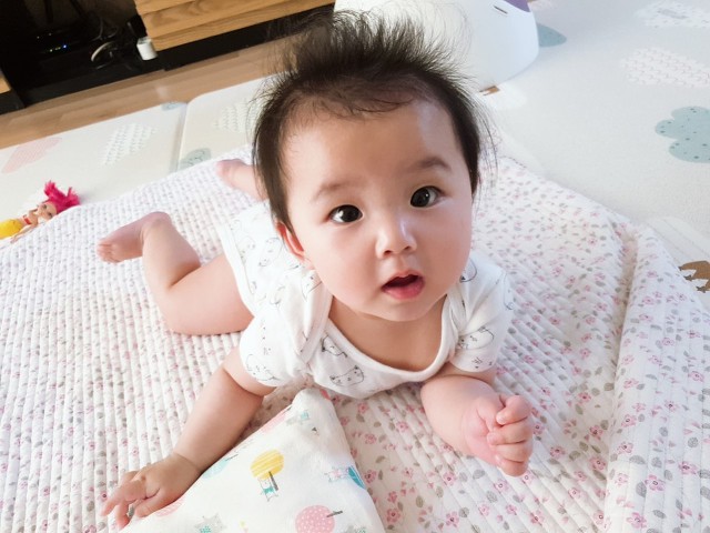숲이조아 캠핑장 이미지