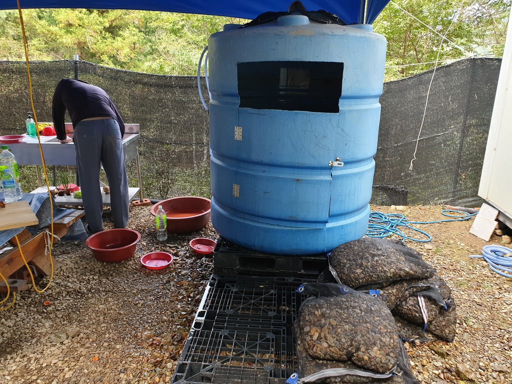 한국농약씨앗 이미지
