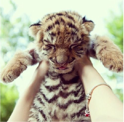 하루만 같이 놀아볼 수 있다면 여러분들의 선택은? | 인스티즈