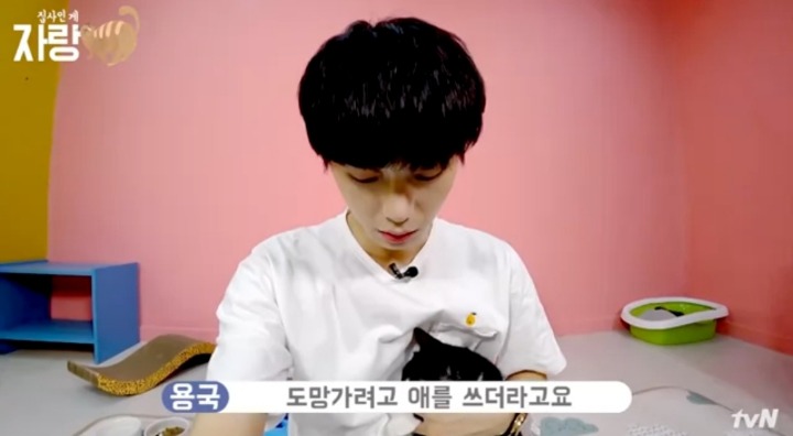 [집사인게자랑] 평화로운 고양이 발톱 자르기.jpg | 인스티즈