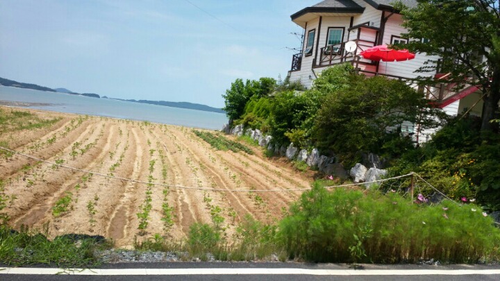 바로건축 이미지