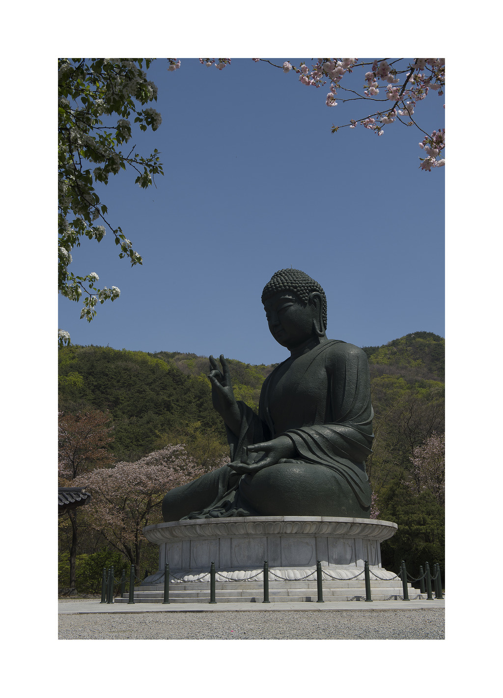 자비 이미지