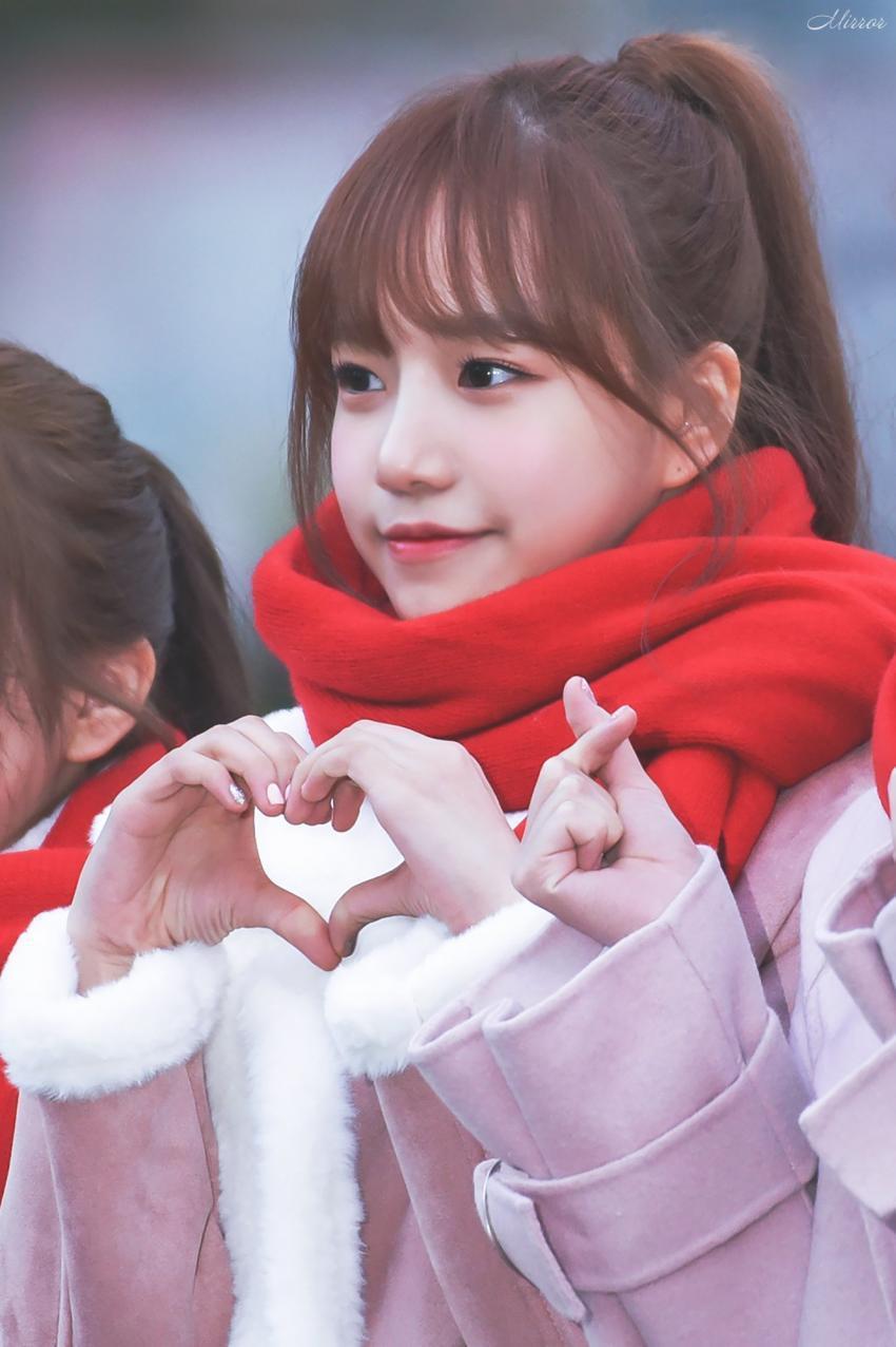 [아이즈원] 작은 댕댕 | 인스티즈