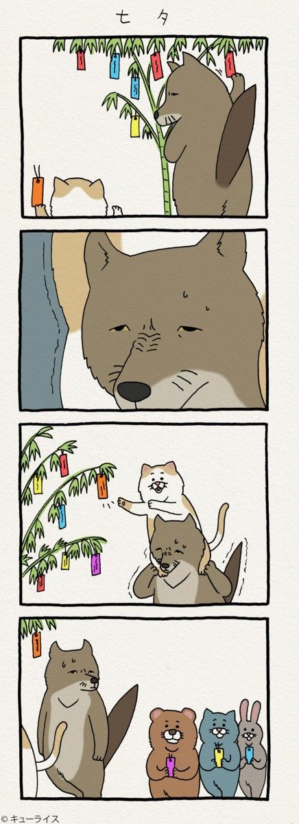 친절한 티벳여우 | 인스티즈