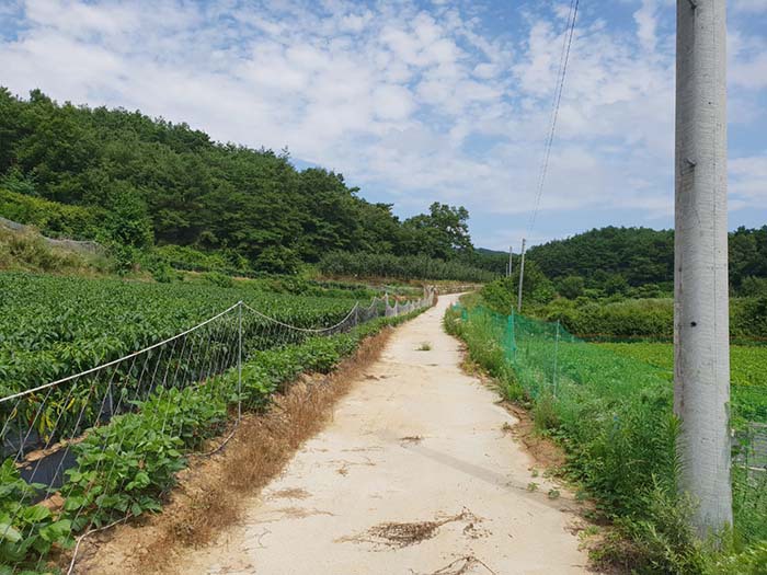 산 경관 이미지