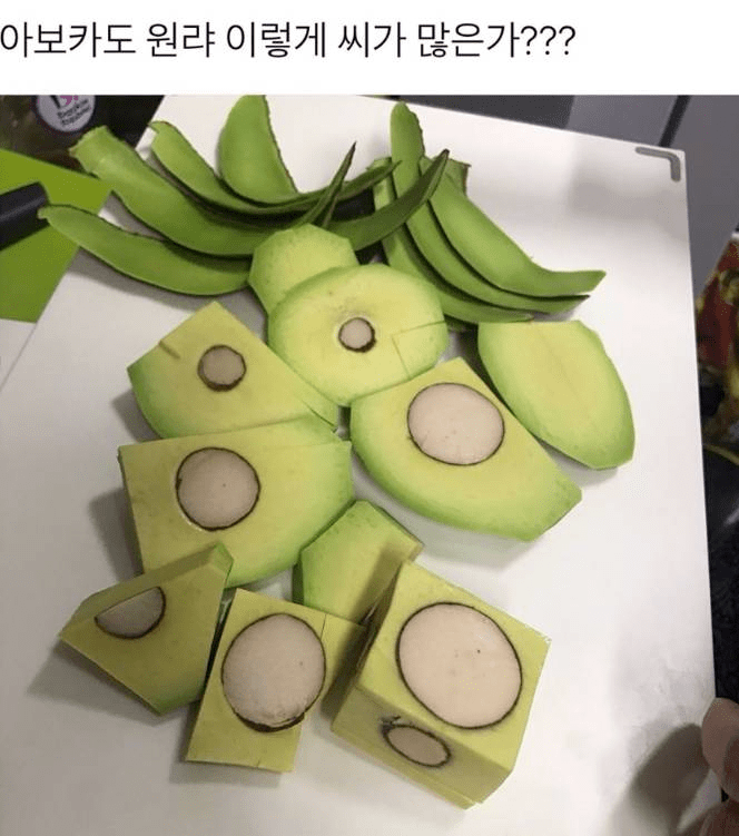 한국 음식계의 소드마스터 | 인스티즈