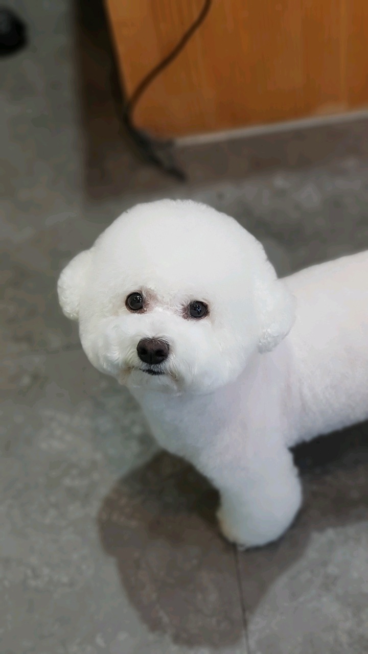 가위소리 이미지