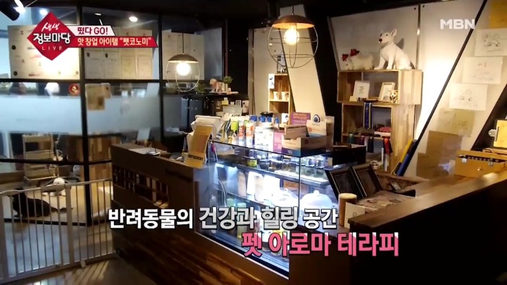 강아지 아로마테라피.jpg | 인스티즈