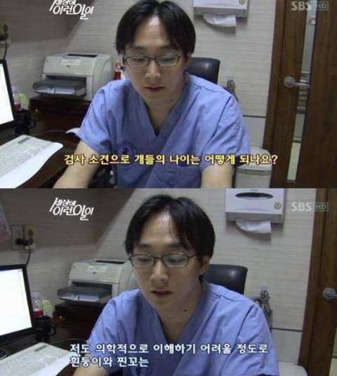 사진상으론 짐작도 할 수 없을 정도로 나이가 많은 강아지들 | 인스티즈