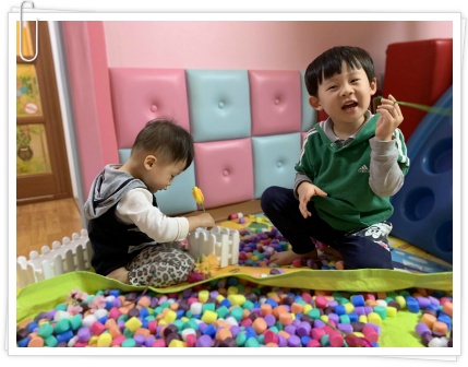 꽃이랑 이미지