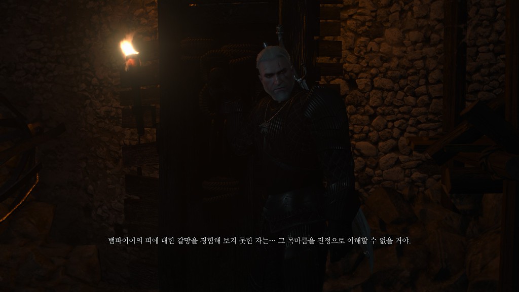 [위쳐3:블러드앤와인] 광인의 우리 5 | 인스티즈
